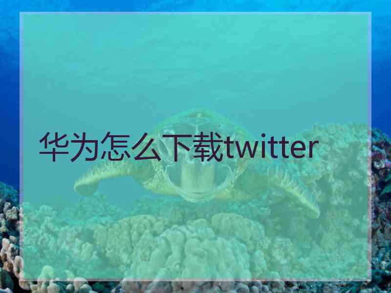 华为怎么下载twitter