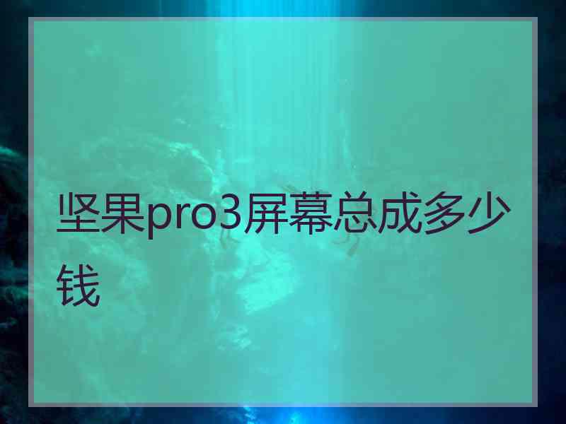 坚果pro3屏幕总成多少钱