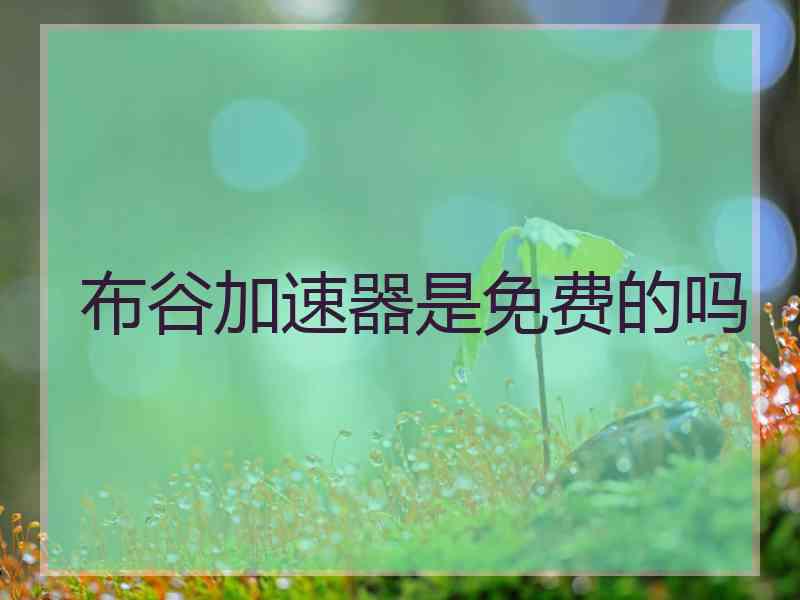 布谷加速器是免费的吗