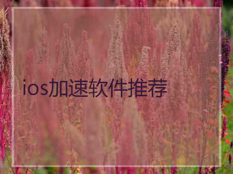 ios加速软件推荐