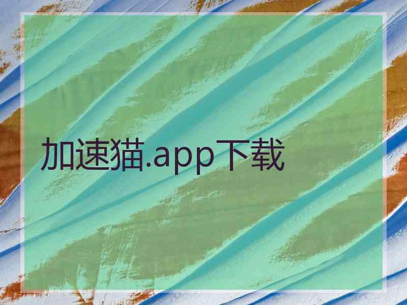 加速猫.app下载