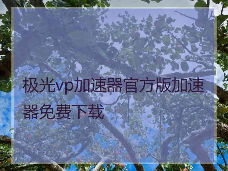 极光vp加速器官方版加速器免费下载