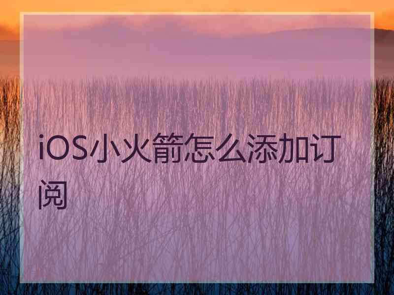 iOS小火箭怎么添加订阅