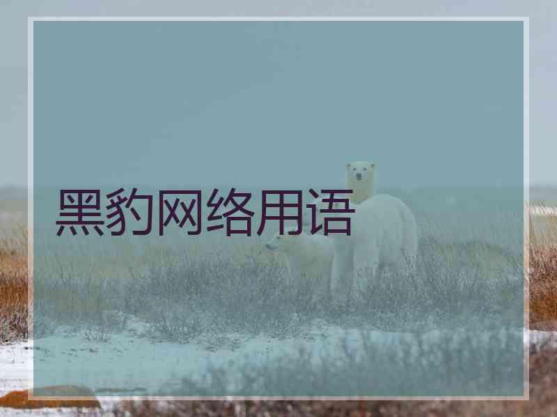 黑豹网络用语