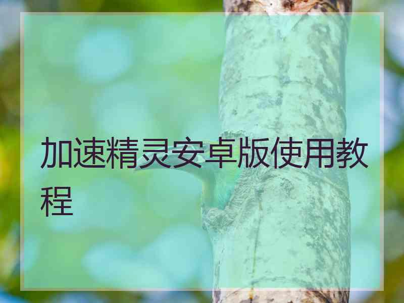 加速精灵安卓版使用教程