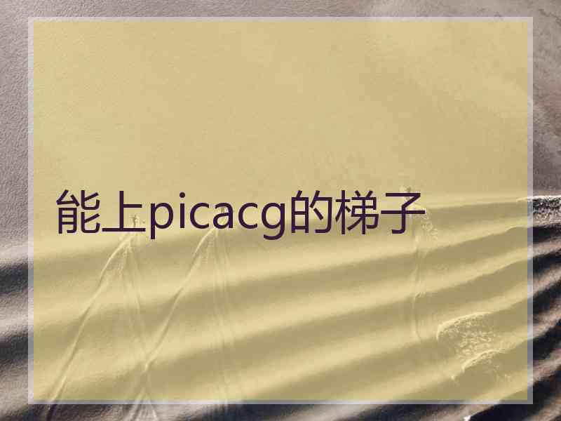 能上picacg的梯子