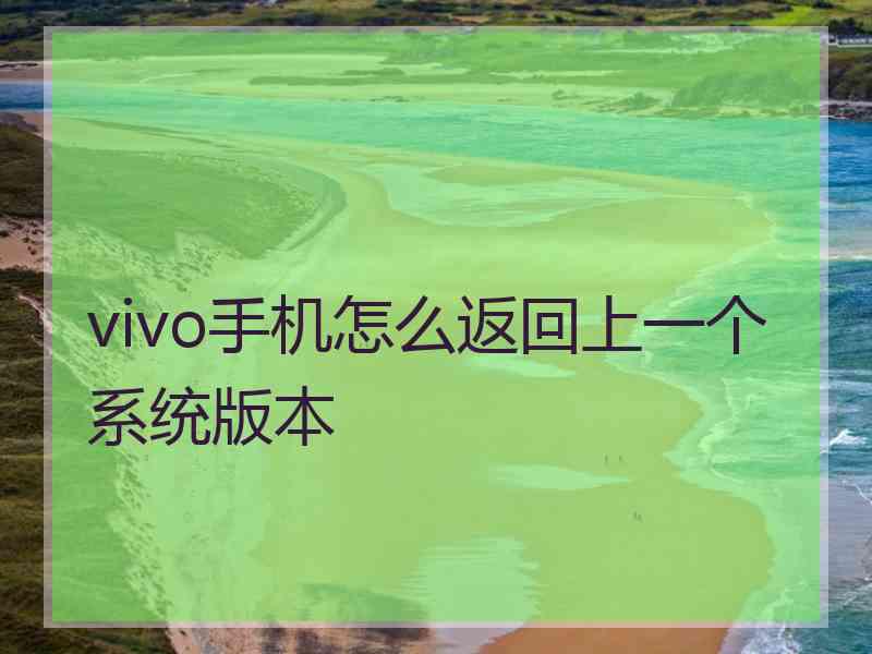 vivo手机怎么返回上一个系统版本