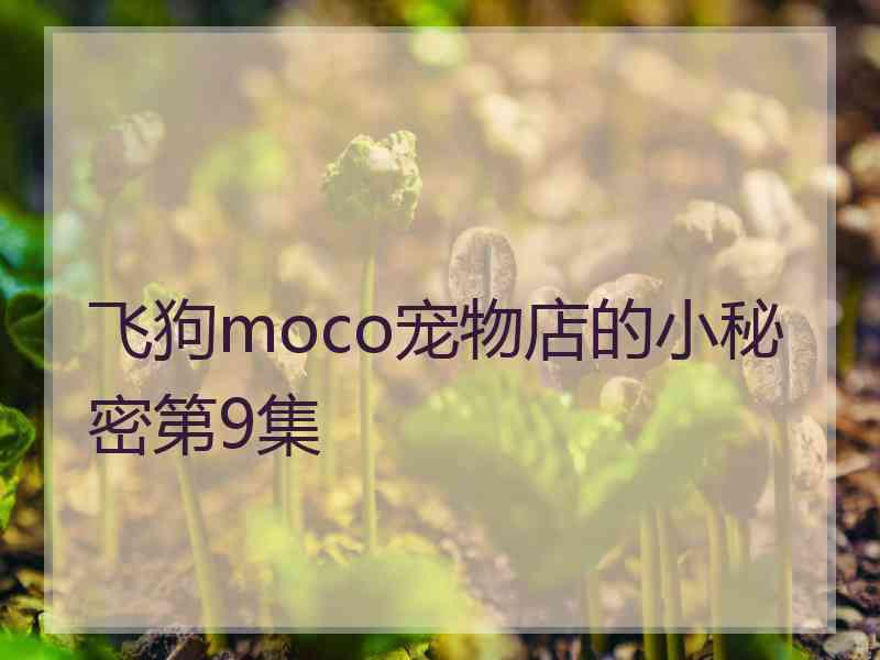 飞狗moco宠物店的小秘密第9集