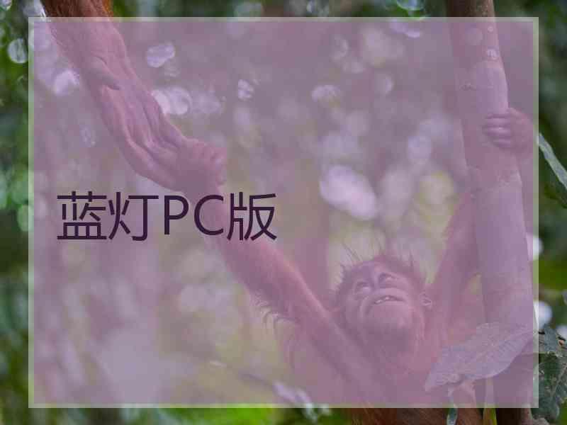 蓝灯PC版