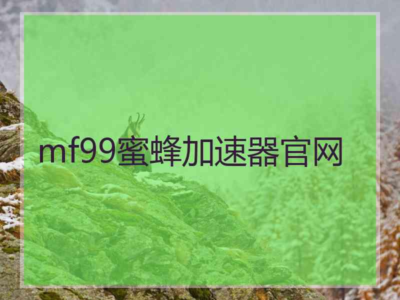 mf99蜜蜂加速器官网