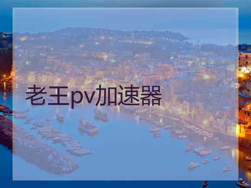 老王pv加速器