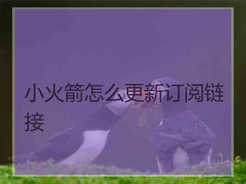 小火箭怎么更新订阅链接
