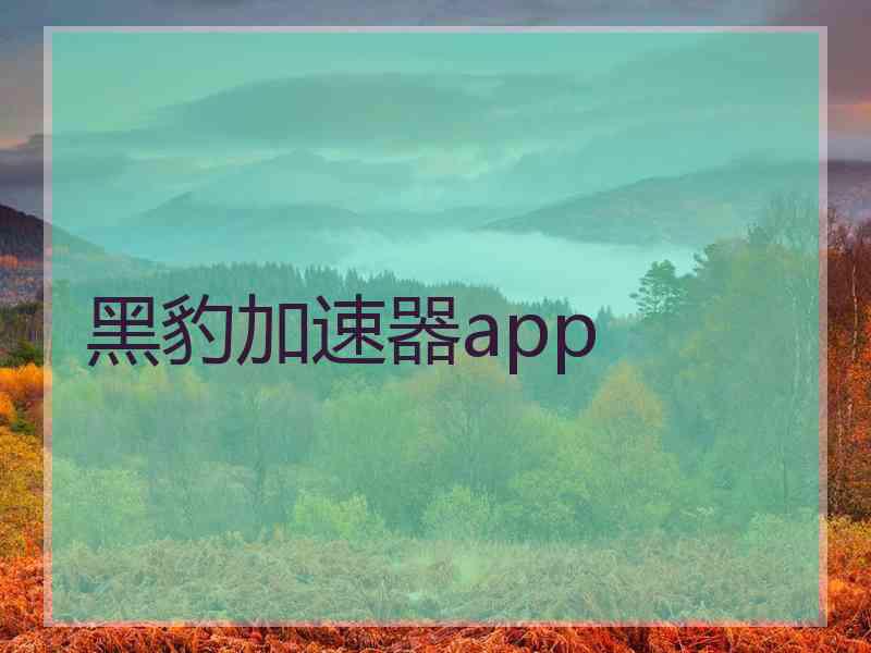 黑豹加速器app