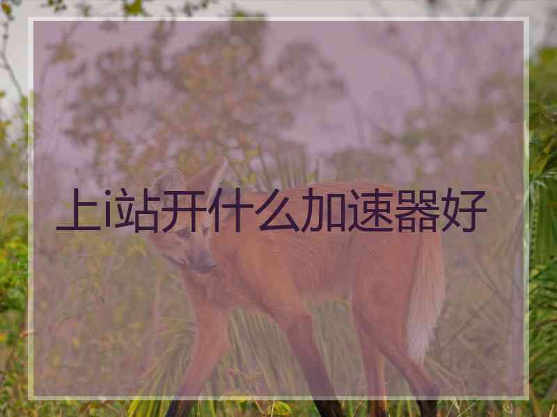 上i站开什么加速器好
