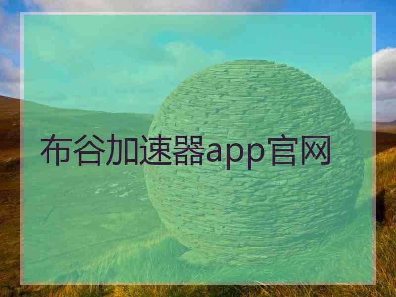 布谷加速器app官网