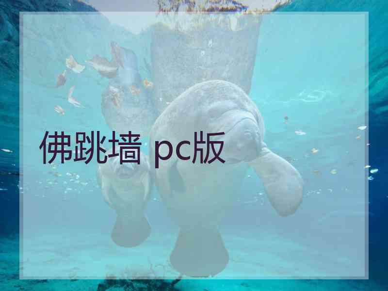 佛跳墙 pc版