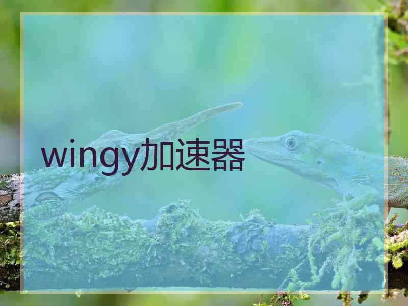 wingy加速器