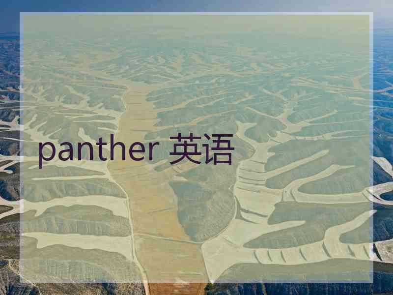 panther 英语