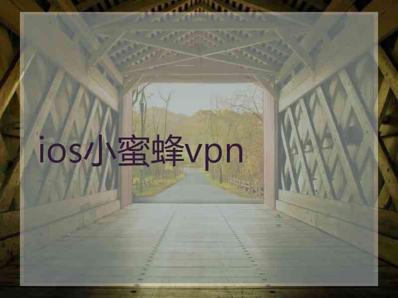 ios小蜜蜂vpn