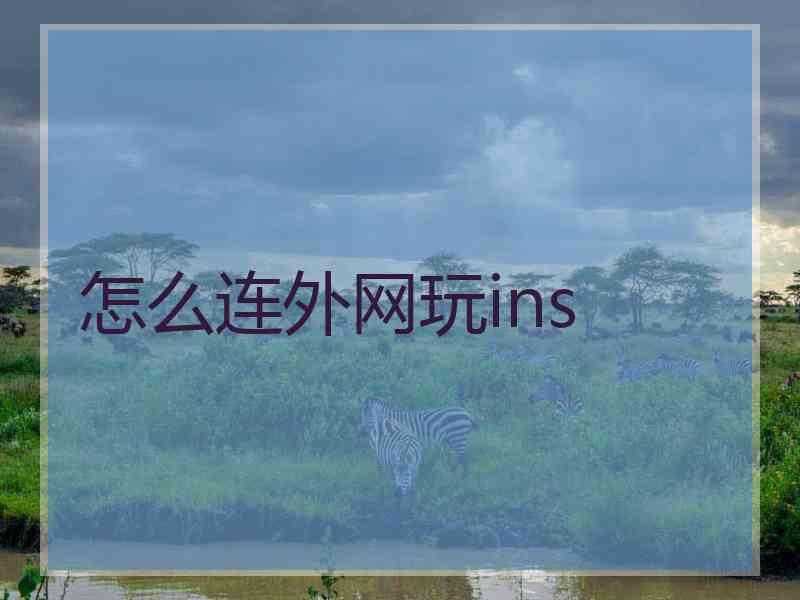 怎么连外网玩ins