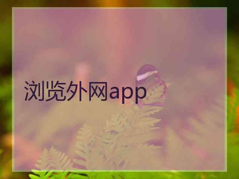 浏览外网app