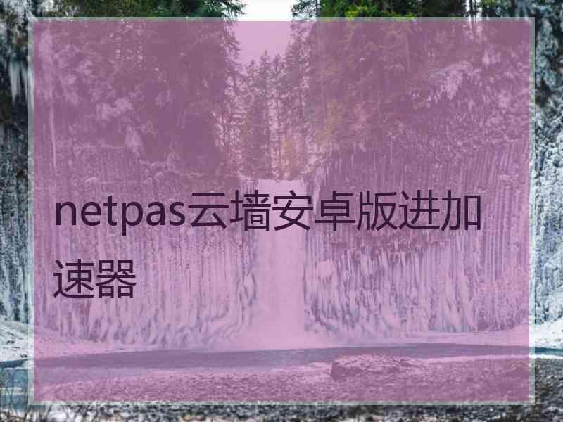 netpas云墙安卓版进加速器