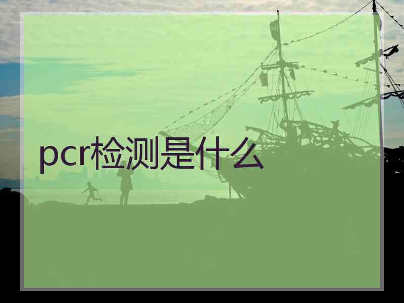 pcr检测是什么