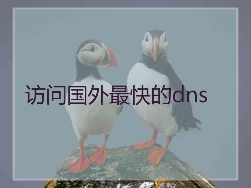 访问国外最快的dns