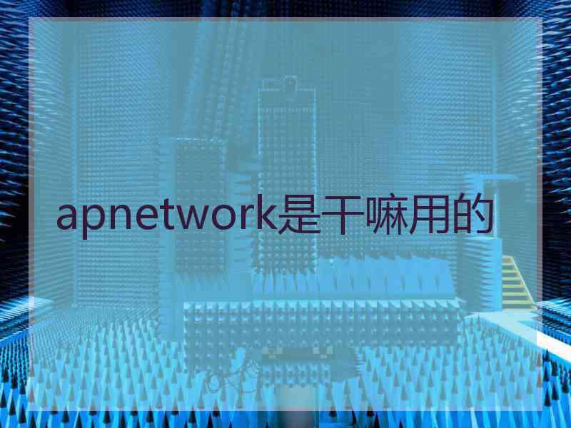 apnetwork是干嘛用的