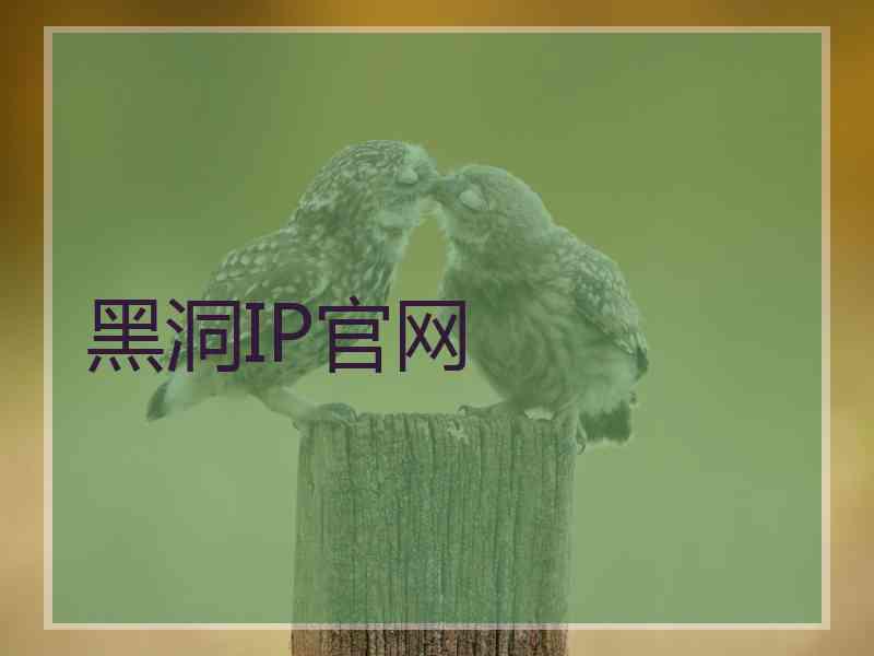 黑洞IP官网