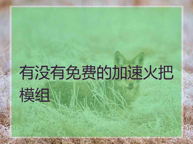 有没有免费的加速火把模组