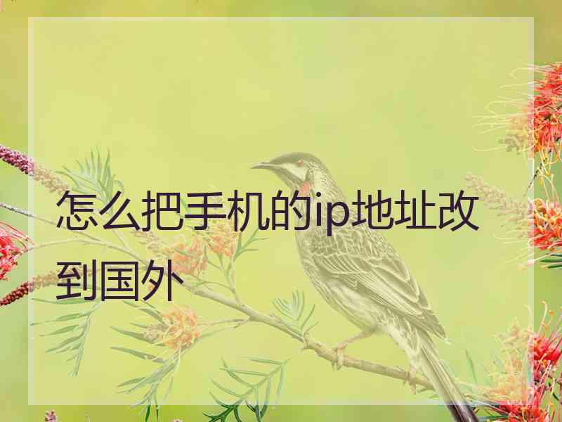 怎么把手机的ip地址改到国外