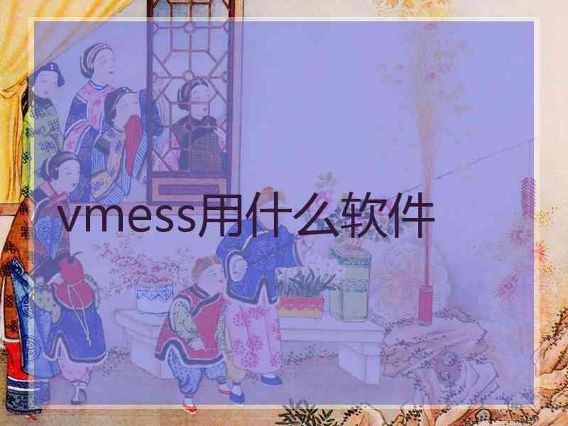 vmess用什么软件