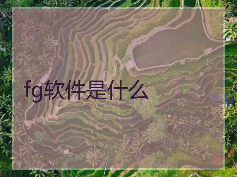 fg软件是什么