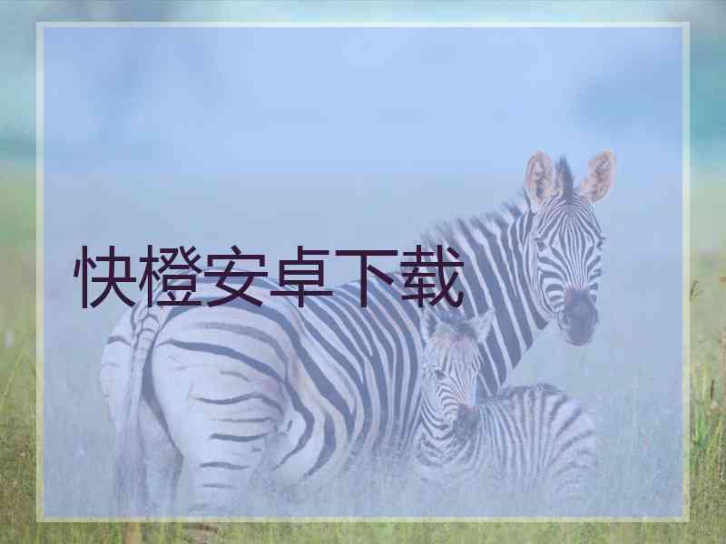 快橙安卓下载