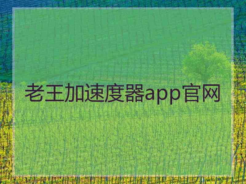 老王加速度器app官网