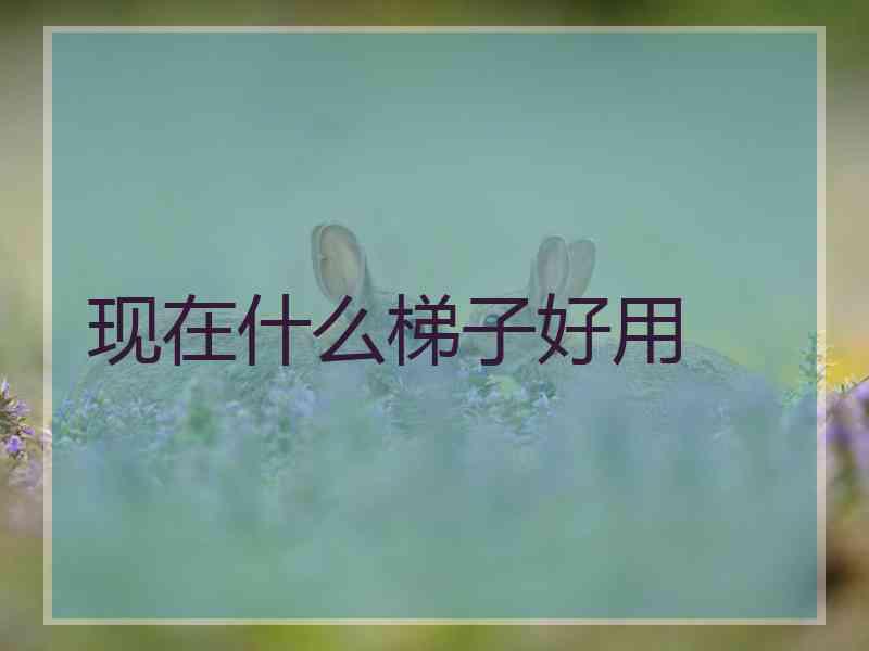 现在什么梯子好用