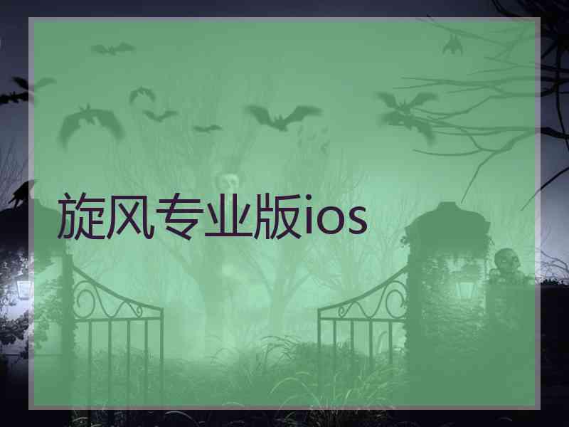 旋风专业版ios
