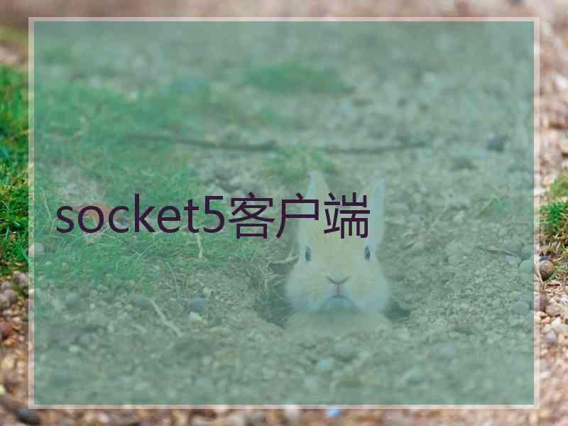 socket5客户端