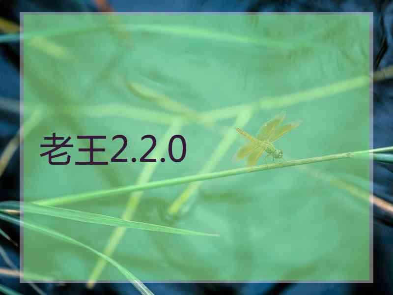 老王2.2.0