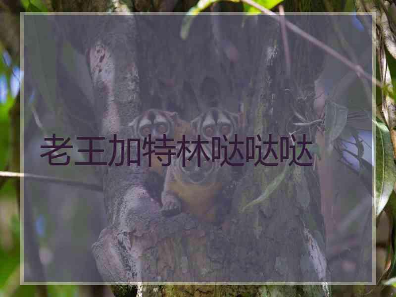 老王加特林哒哒哒