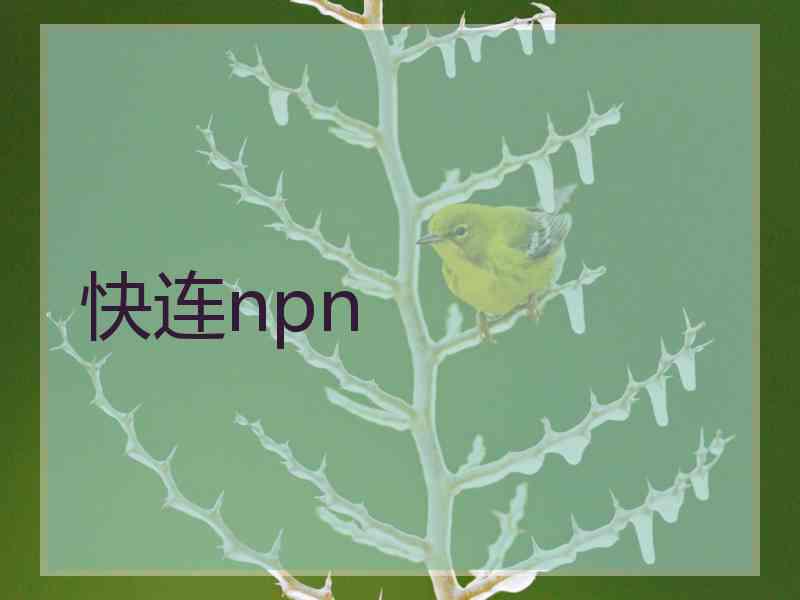 快连npn