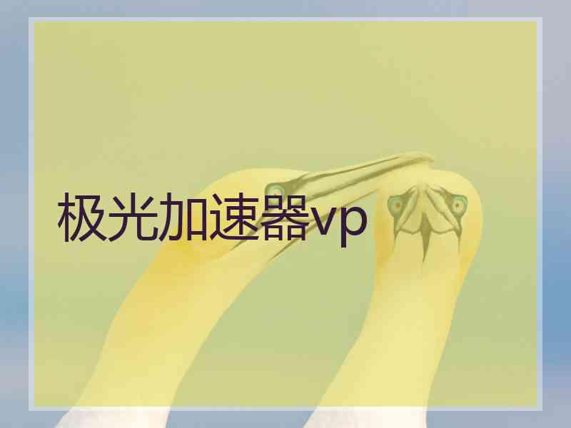 极光加速器vp