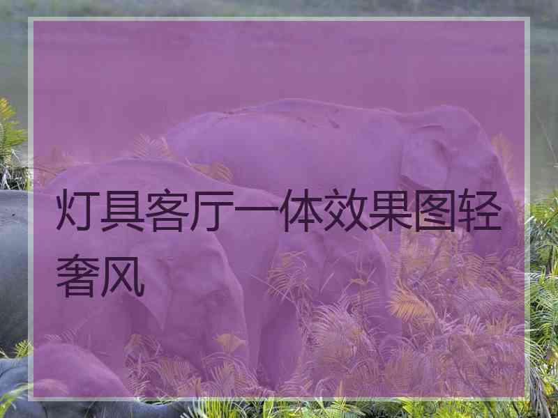 灯具客厅一体效果图轻奢风