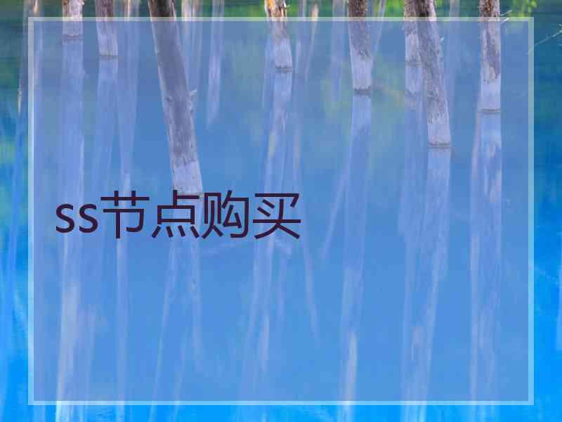 ss节点购买