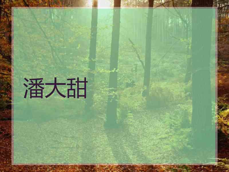 潘大甜