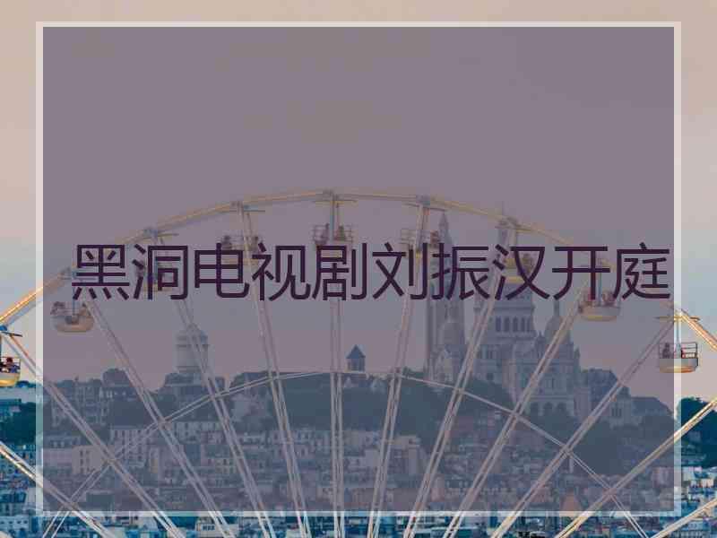 黑洞电视剧刘振汉开庭