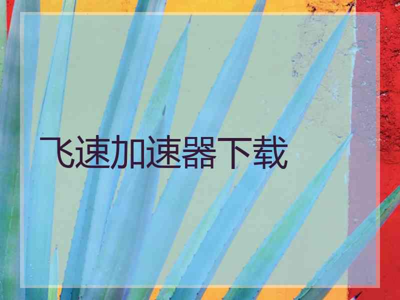 飞速加速器下载