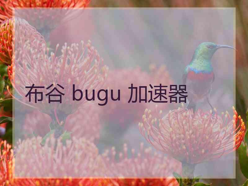 布谷 bugu 加速器