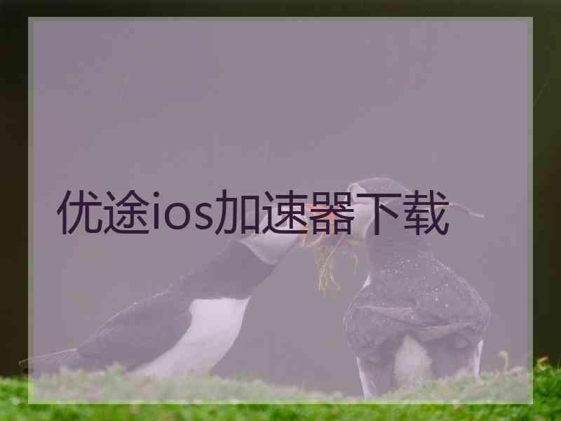 优途ios加速器下载